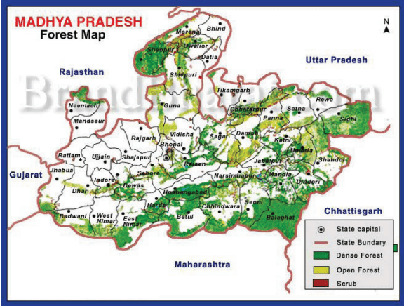 madhya-pradesh-forest-map